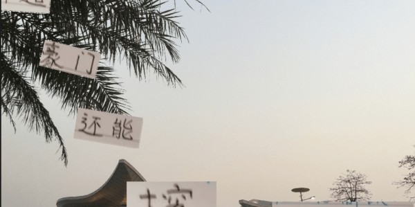 前北京国安球员巴坎布未能夺冠 未来海港跟申花还能挖切尔西人吗